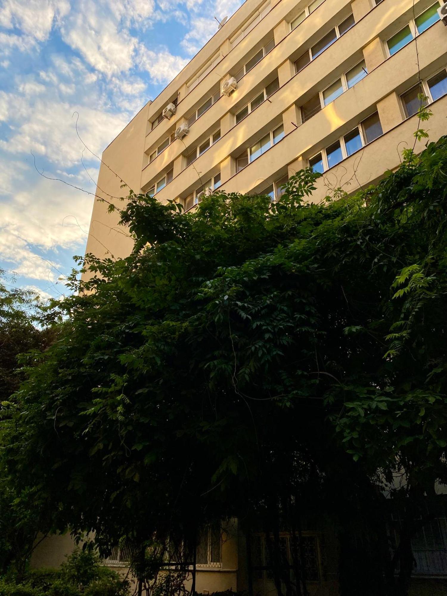 Downtown Studio - Ultra Central With Park View بوخارست المظهر الخارجي الصورة